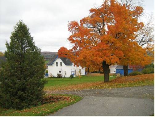 Saint-Isidore-de-Clifton (Quebec) Canadá Ahorros con código de descuento para hoteles en Booking.com