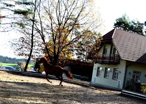 Sankt Lorenzen am Wechsel Austria Ahorros con código de descuento para hoteles en Booking.com