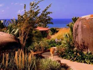 Vieques Island Puerto Rico Hotel Discount Code Savings Agoda.com