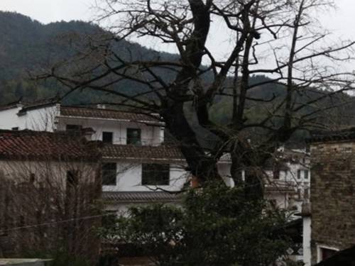 Wuyuan China Ahorros con código de descuento para hoteles en Booking.com