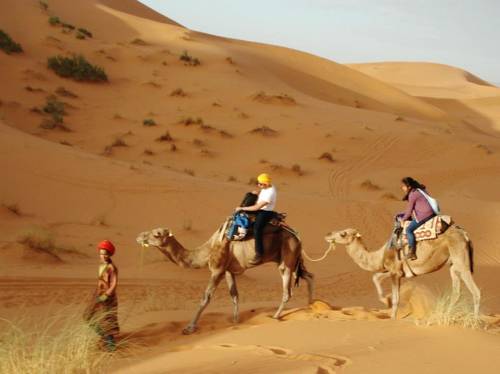 Merzouga Morocco Hotel Discount Code Savings Booking.com