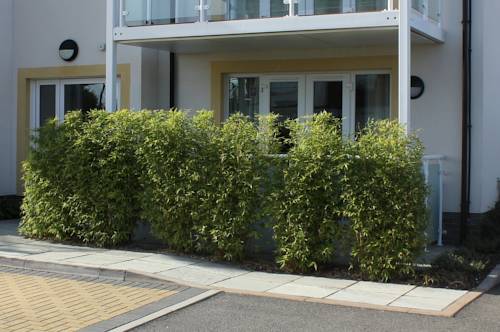 Bournemouth Reino Unido Ahorros con código de descuento para hoteles en Booking.com